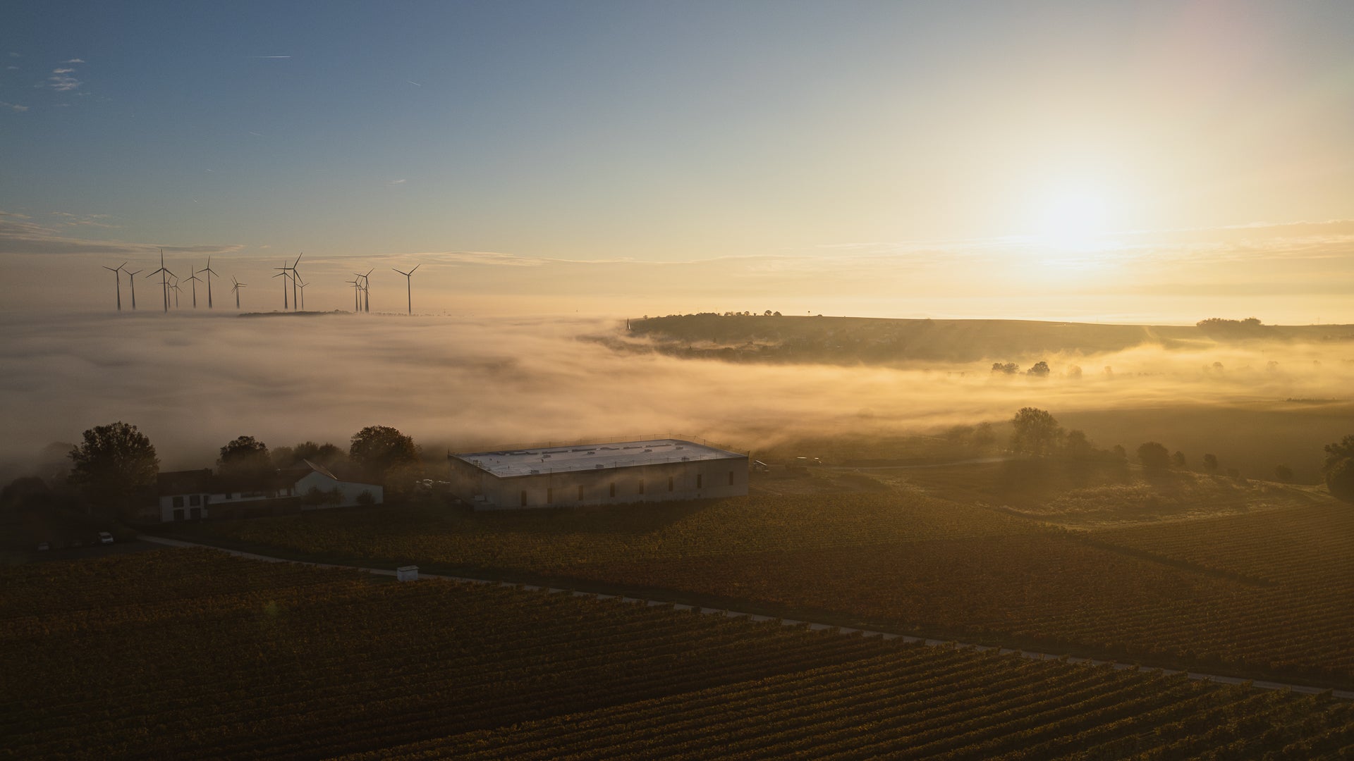 Weingut Winter und Neubau vor Nebelmeer in Dittelsheim