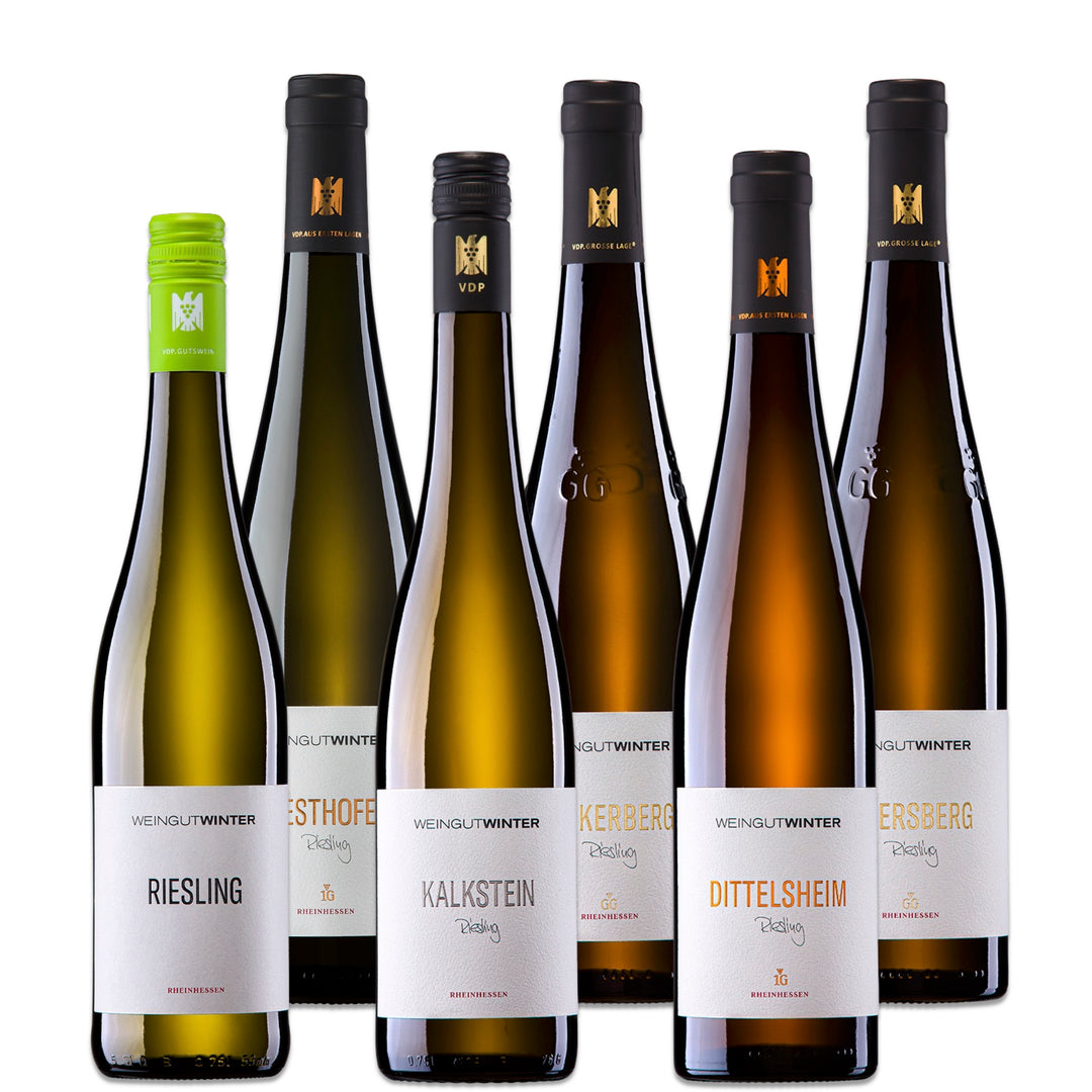 RIESLING Weinpaket