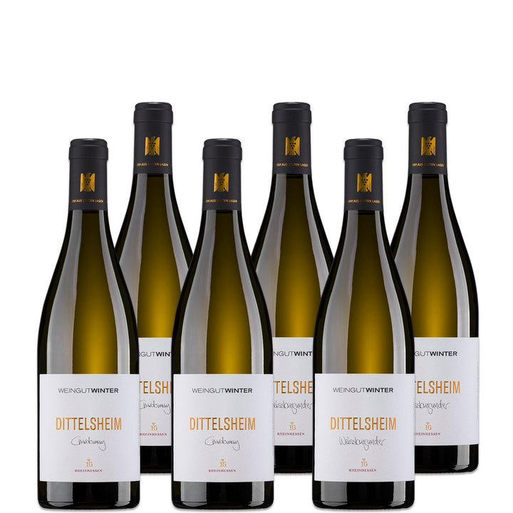 BURGUNDER 1G Weinpaket
