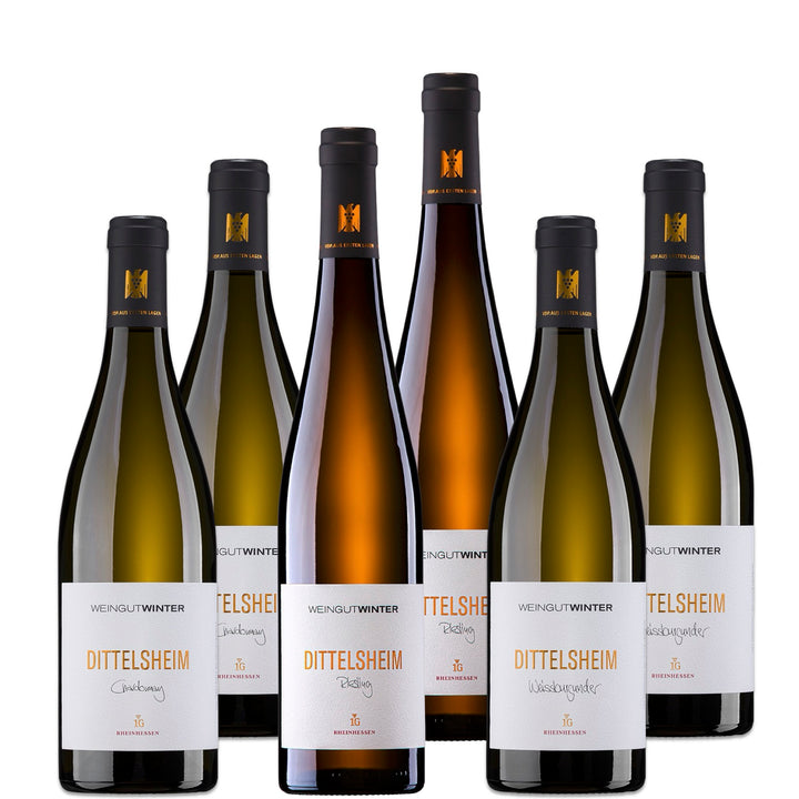 DITTELSHEIM 1G Weinpaket