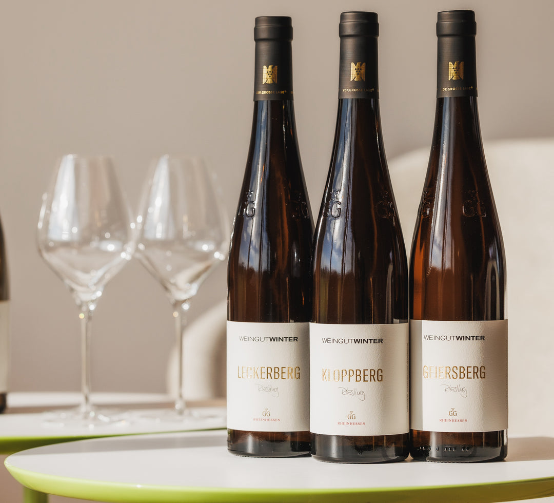 Riesling GG 2021 | Jahrgangspaket