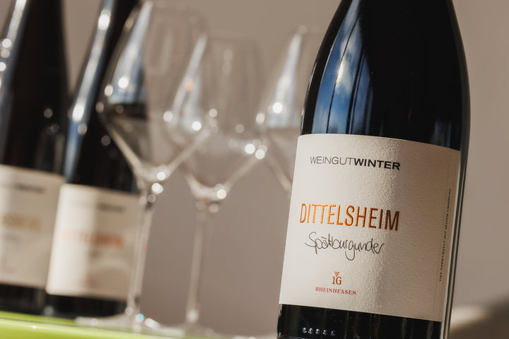 DITTELSHEIM Spätburgunder 1G