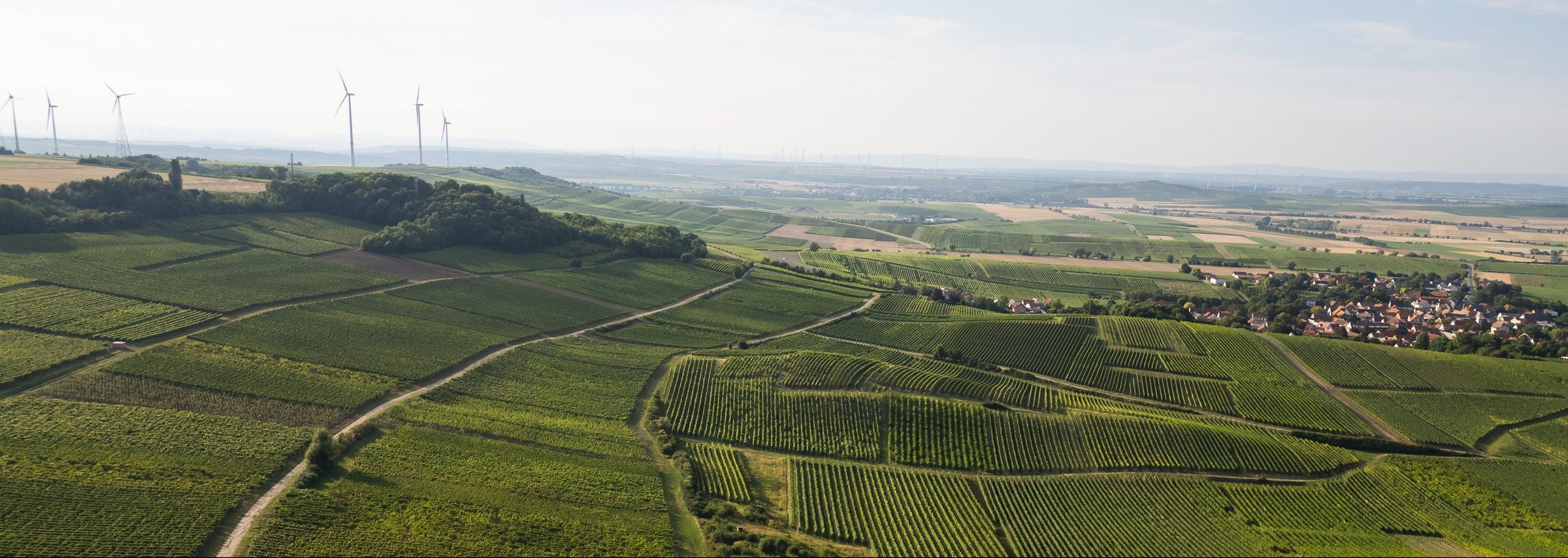 Luftaufnahme Weinbergspanorama am Kloppberg