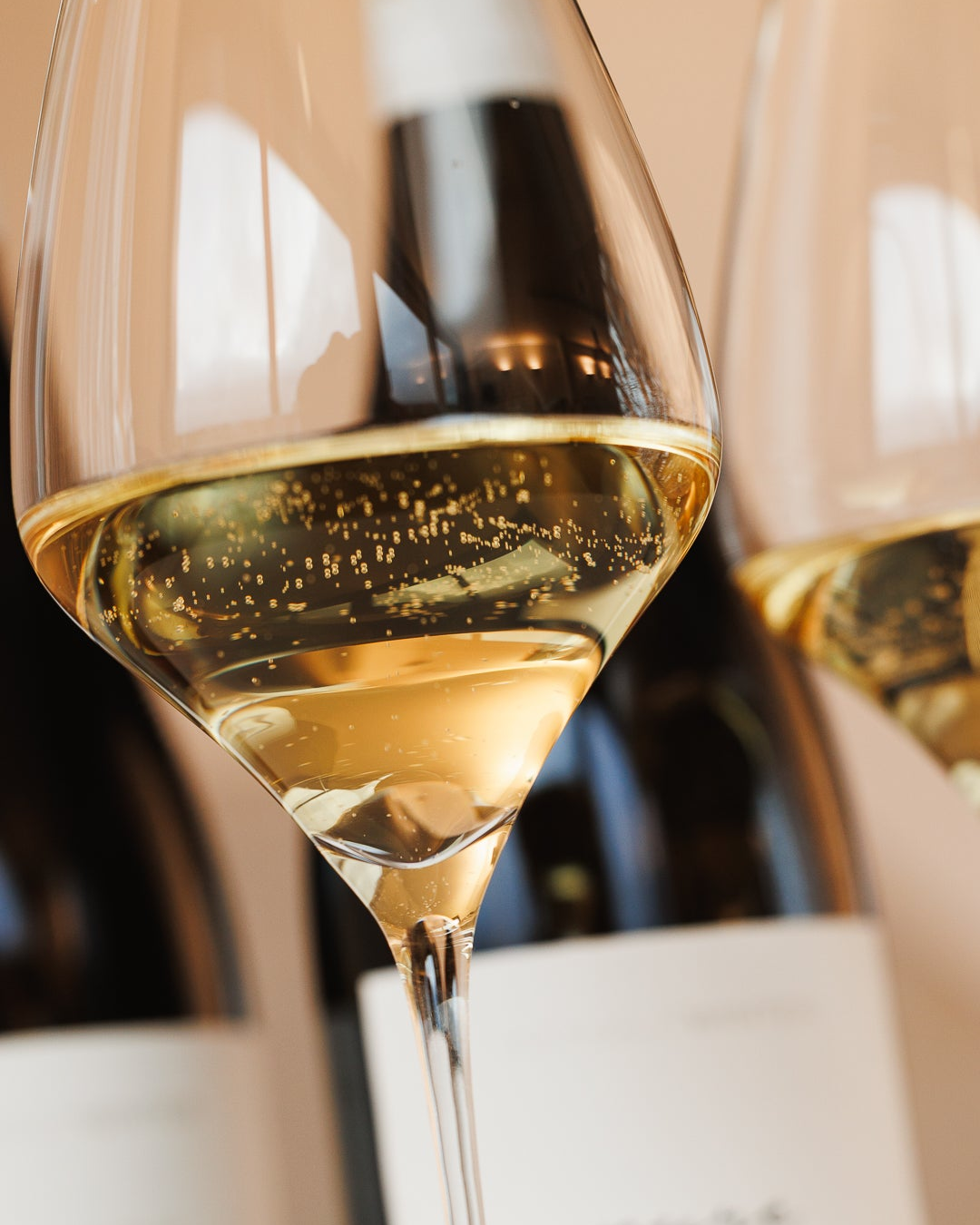 Verkostungsimpressionen Schaumwein